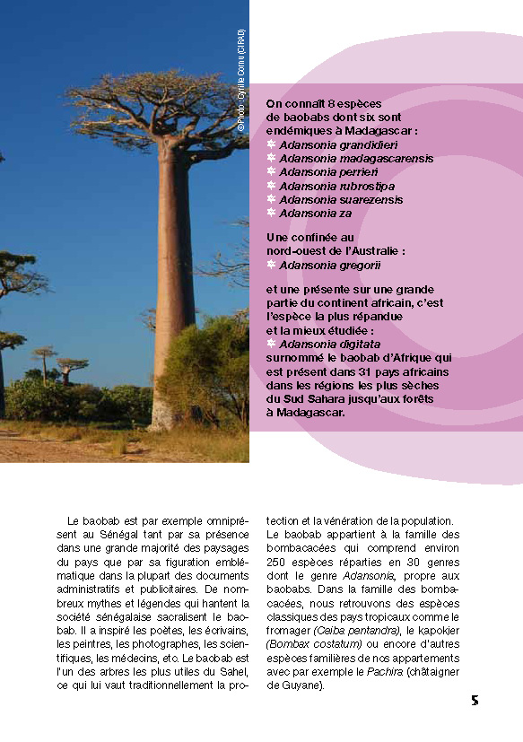 Livret%20Baobab-correc-BD_Page_06.jpg