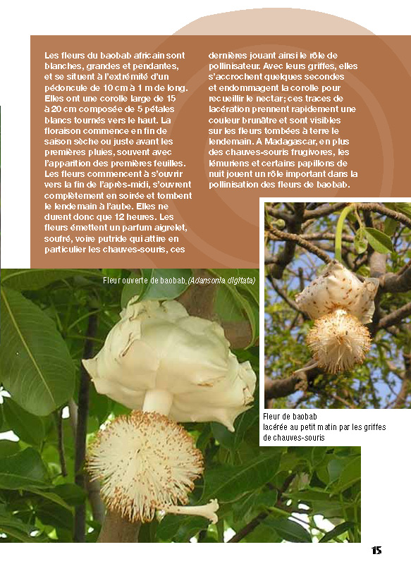 Livret%20Baobab-correc-BD_Page_16.jpg