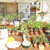 dsc0088