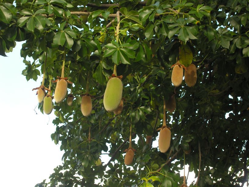 4944a8d9 82af 4ba3 9077 9407b8d36094