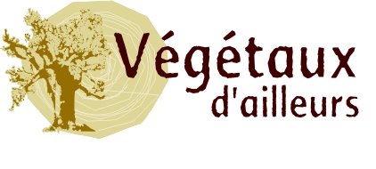 logo vgto