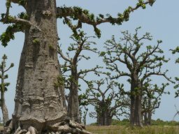 1209422_10201885905333163_868935399_n_10201885905333163