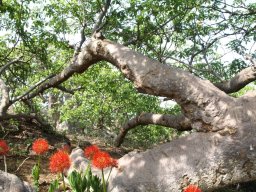 1235358_10201885910893302_847877828_n_10201885910893302