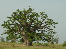 1236017_10201885899253011_1400295730_n_10201885899253011