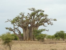 1240546_10201885907093207_1001475258_n_10201885907093207