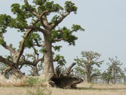 264022_10150259147854901_6678295_n