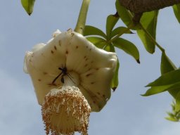 269096_10150255126699901_4066798_n