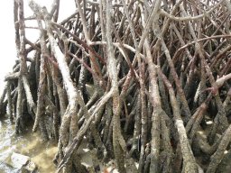 283182_10150259148954901_2256029_n