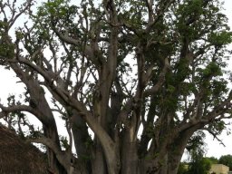 578490_10201885905693172_1272354490_n_10201885905693172