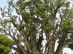 601514_10201885905893177_1570723780_n_10201885905893177