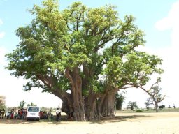 644020_10201885910213285_499997406_n_10201885910213285