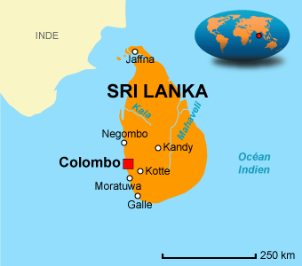 Les Baobabs Du Sri Lanka Sur Lîle De Mannar Institut Pour